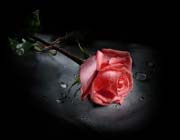 AWT IMAGE