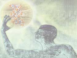 AWT IMAGE